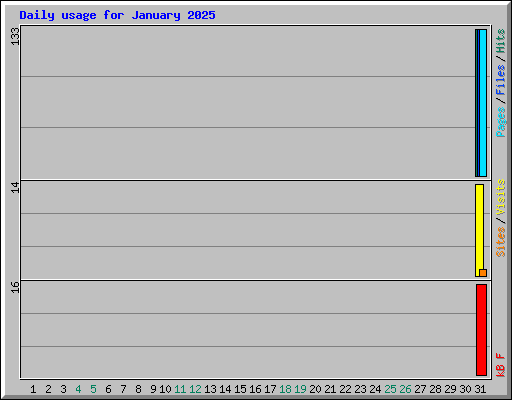 Daily usage for January 2025