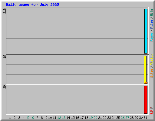 Daily usage for July 2025