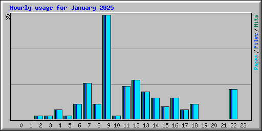 Hourly usage for January 2025