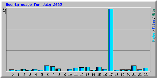 Hourly usage for July 2025