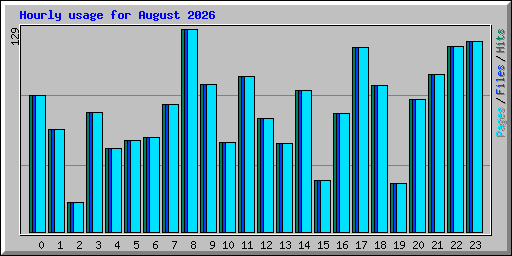 Hourly usage for August 2026
